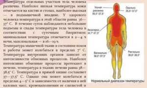 Почему тело горячее а температуры нет